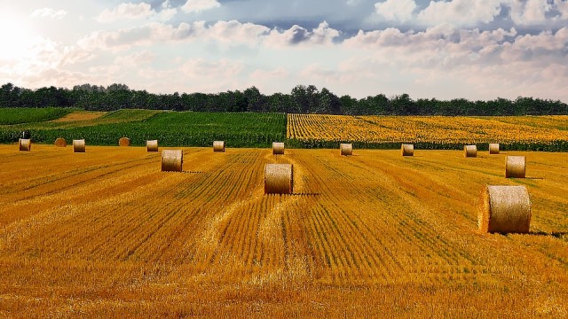 첨단 기술과 농업의 결합, Agtech 스타트업의 부상